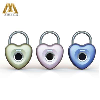 Fingerprint Lock Smart Fingerprint Padlock Portable Small Travel Luggage Suitcase Fingerprint Lock Safety Door Lock